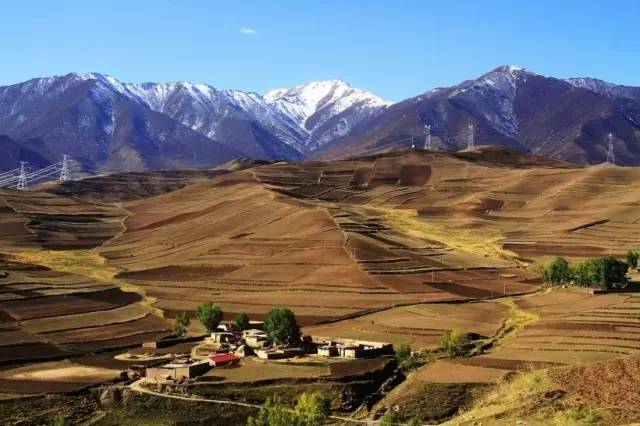 甘肃小巷中的绝美特色小店